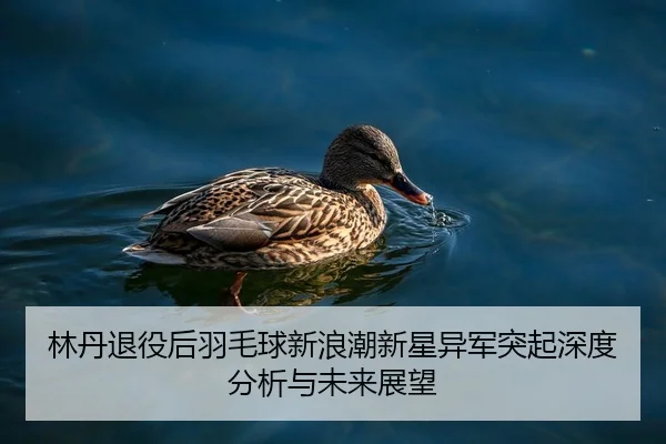 林丹退役后羽毛球新浪潮新星异军突起深度分析与未来展望
